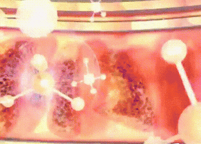 1732554196832468.gif