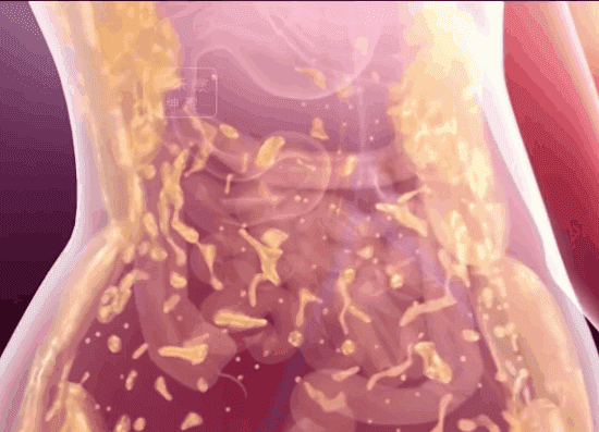 imgi_8_1751077377180291.gif