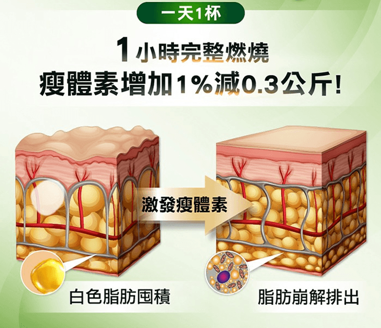 imgi_9_1751075761534636.png