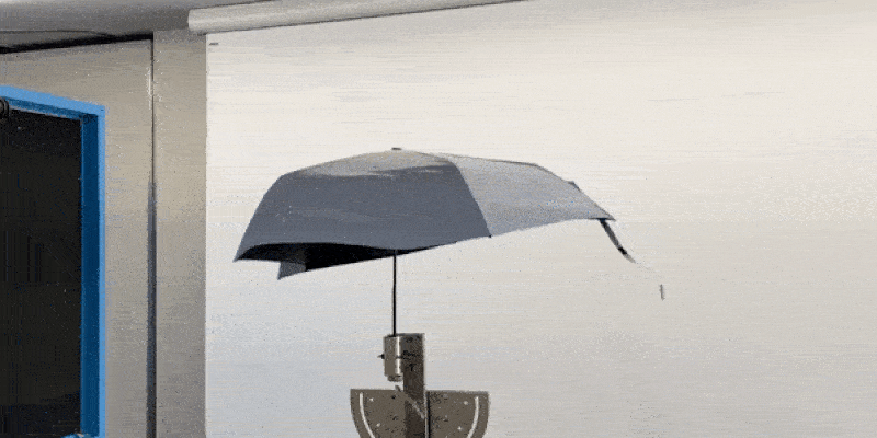 imgi_9_1738920979955447.gif