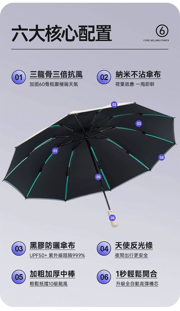 imgi_19_1738919876372540.jpg