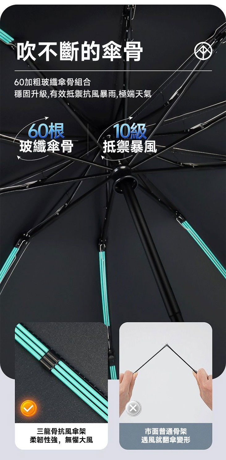 imgi_21_1738919880660028.jpg